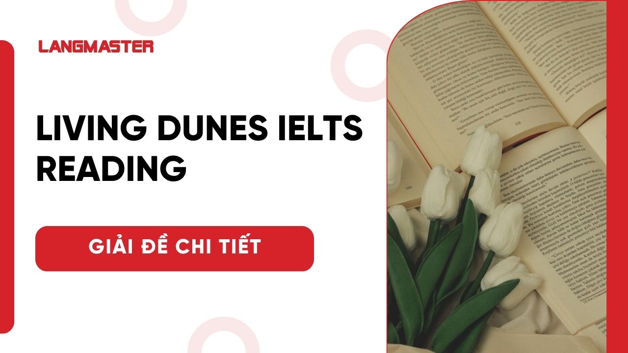 Living dunes IELTS Reading answers: Giải chi tiết kèm từ vựng